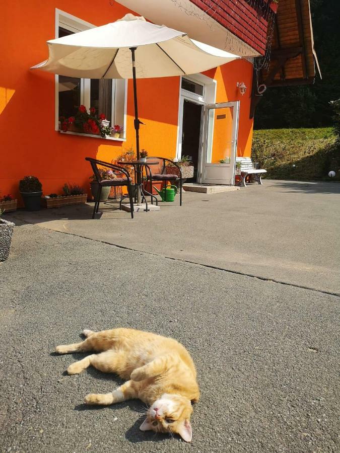 Hotel Pension Waldbaude Варменщайнах Екстериор снимка