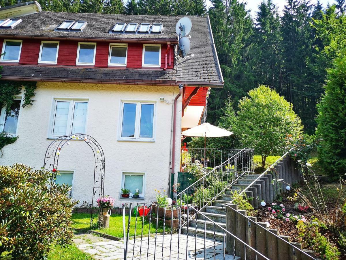 Hotel Pension Waldbaude Варменщайнах Екстериор снимка